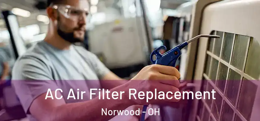  AC Air Filter Replacement Norwood - OH
