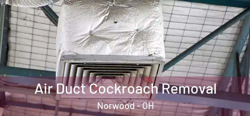  Air Duct Cockroach Removal Norwood - OH