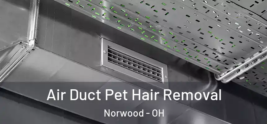 Air Duct Pet Hair Removal Norwood - OH