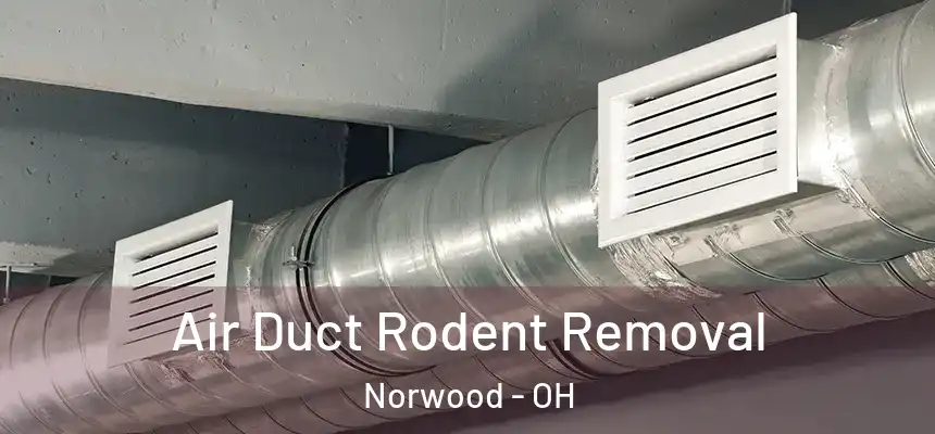  Air Duct Rodent Removal Norwood - OH