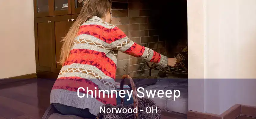  Chimney Sweep Norwood - OH