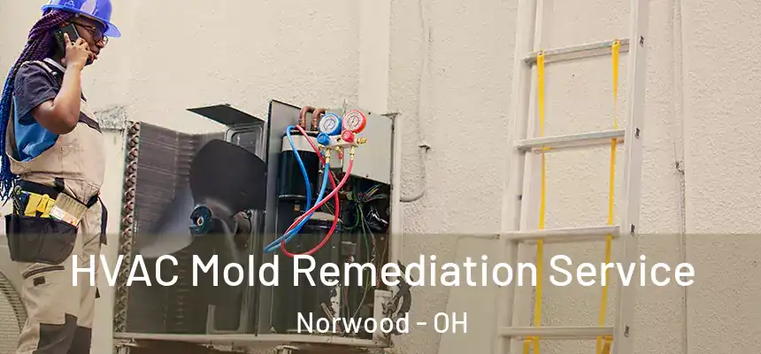  HVAC Mold Remediation Service Norwood - OH