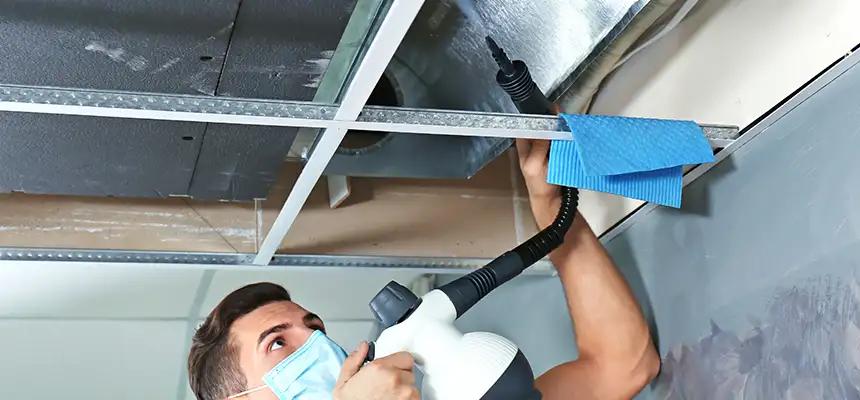 Our Air Duct Rodent Removal Services in Norwood, OH