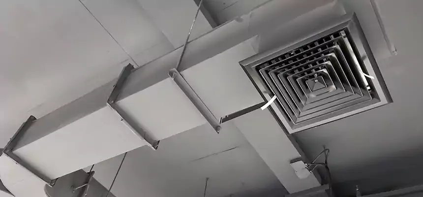 Restorative Allergy Relief Vent Cleaning – Coil, Blower & Housing Detail in Norwood