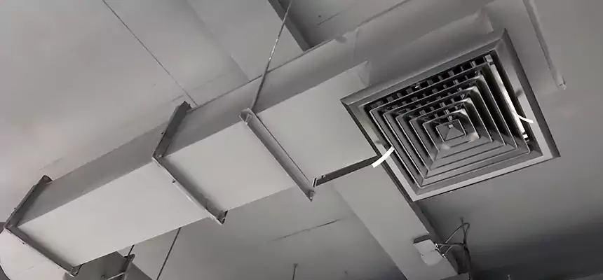 Our Pest Removal From Ducts Services in Norwood, OH