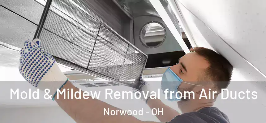  Mold & Mildew Removal from Air Ducts Norwood - OH