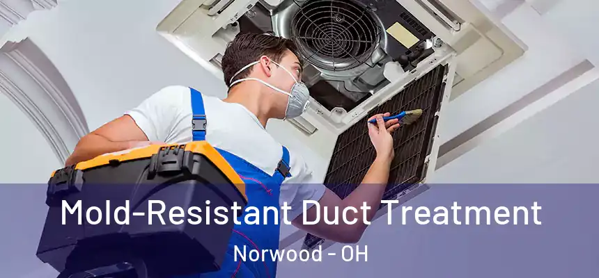  Mold-Resistant Duct Treatment Norwood - OH