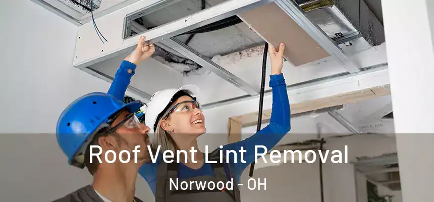 Roof Vent Lint Removal Norwood - OH
