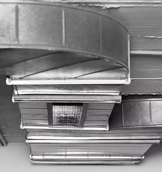 Professional Air Duct Pest Removal in Norwood, OH