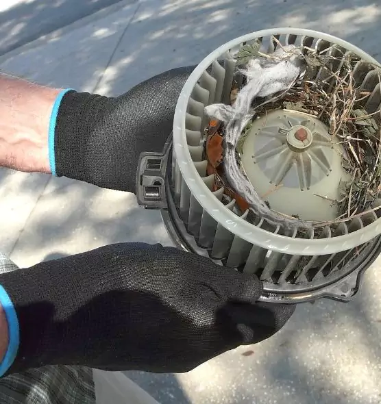 About Air Duct Rat Removal in Norwood, OH