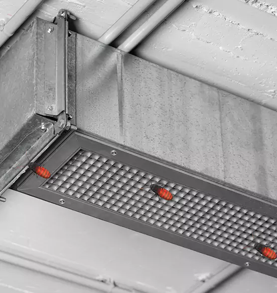 Affordable Insect Removal from Air Ducts in Norwood, OH